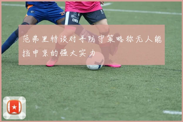 范弗里特谈对手防守策略称无人能挡申京的强大实力