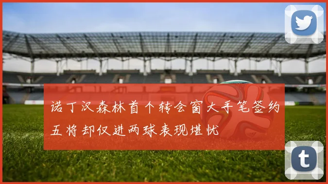 诺丁汉森林首个转会窗大手笔签约五将却仅进两球表现堪忧