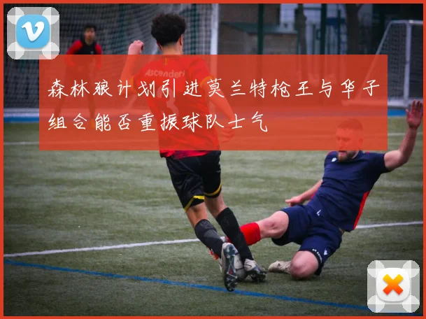 森林狼计划引进莫兰特枪王与华子组合能否重振球队士气