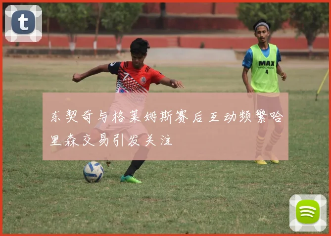 东契奇与格莱姆斯赛后互动频繁哈里森交易引发关注